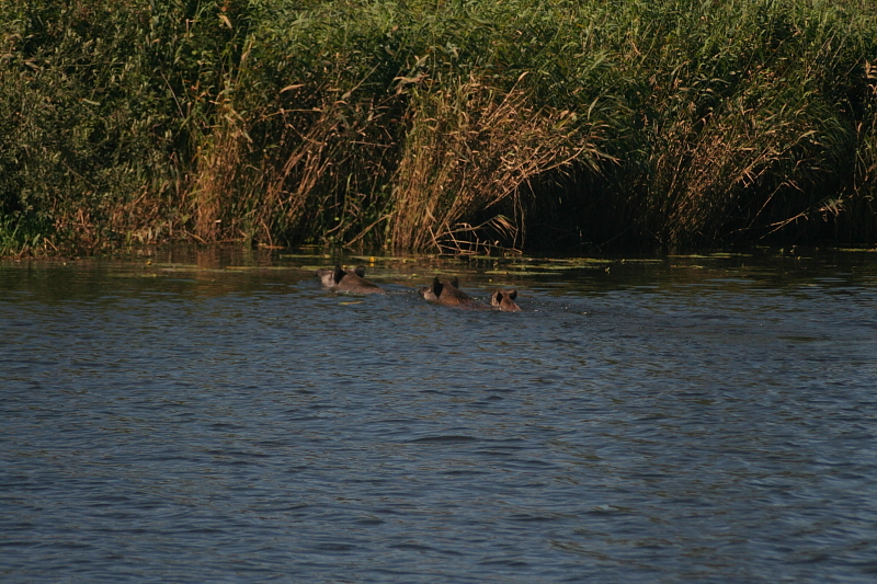 Kummerower See